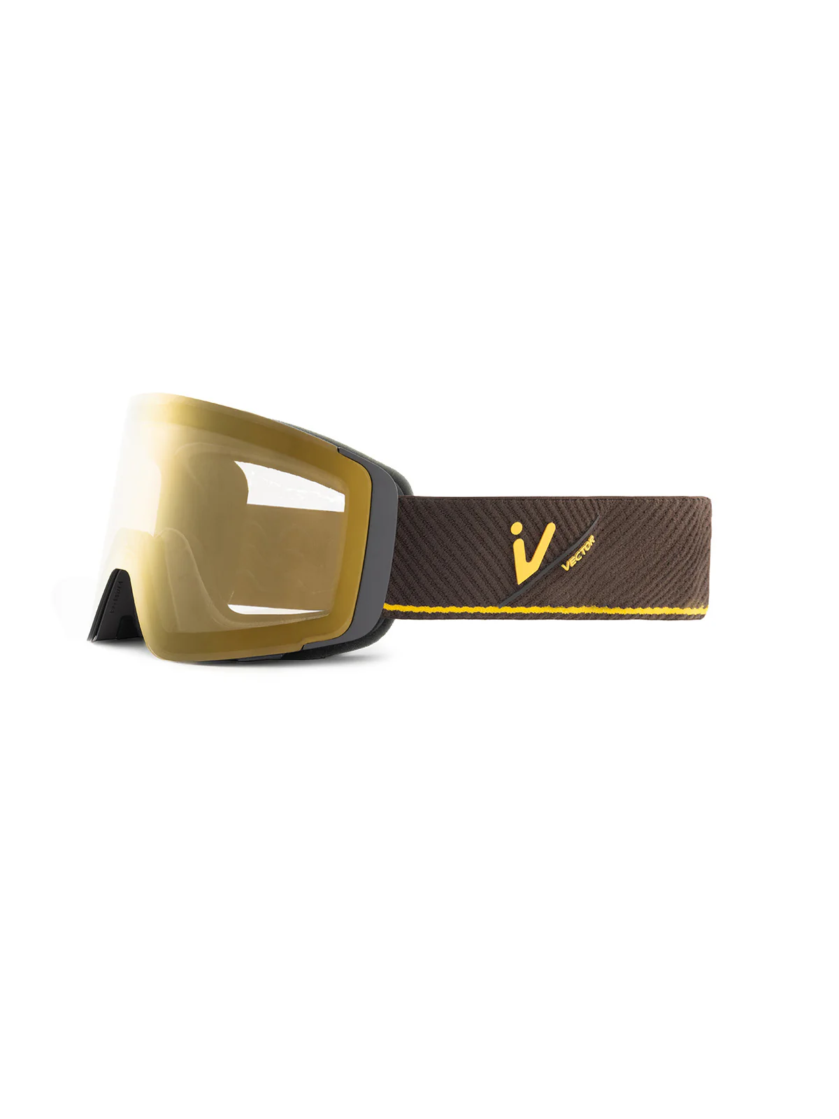 Anole Snow Goggles