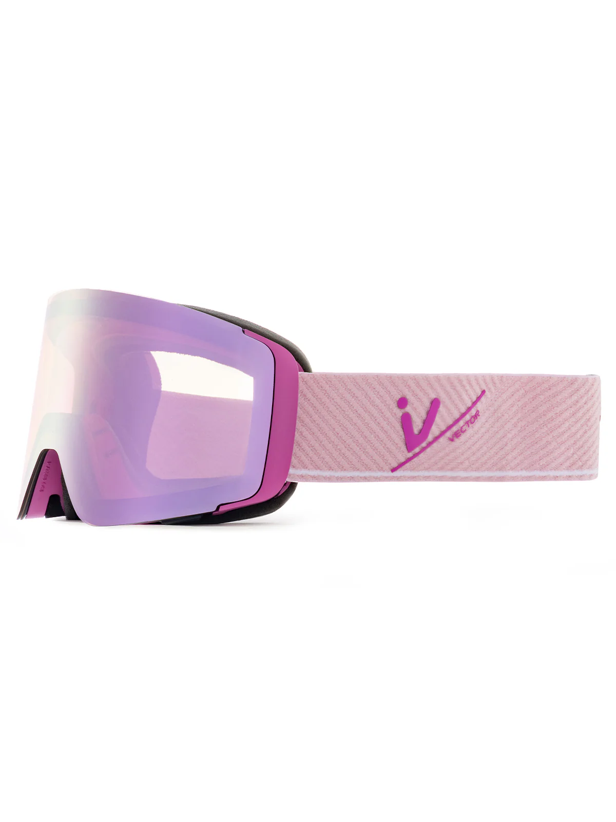 Anole Snow Goggles